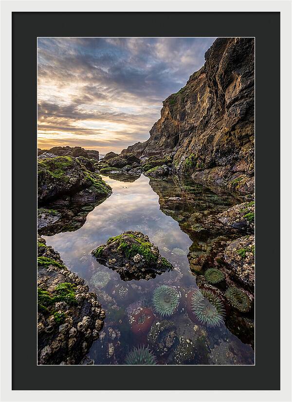 Tide Pool Reflections