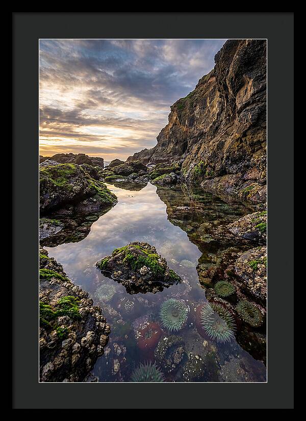 Tide Pool Reflections