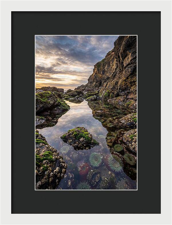 Tide Pool Reflections