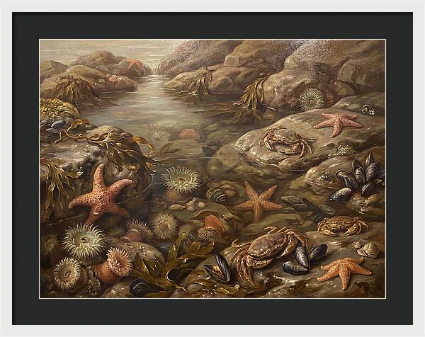 Tide Pool Serenity