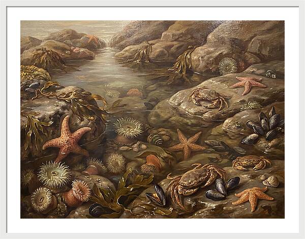 Tide Pool Serenity