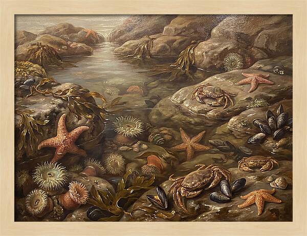 Tide Pool Serenity