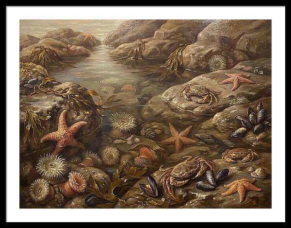 Tide Pool Serenity