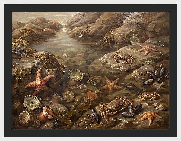 Tide Pool Serenity