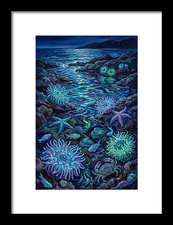 Tide Pool Wonders