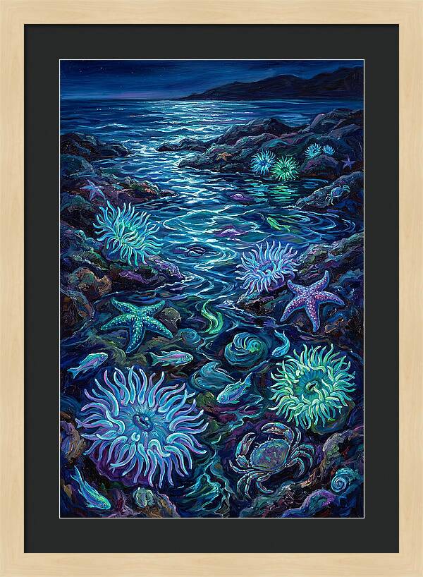 Tide Pool Wonders