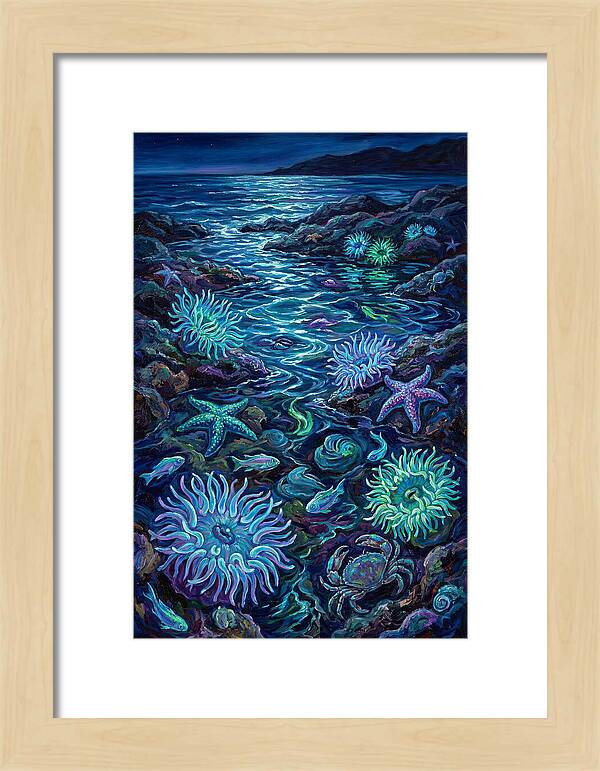 Tide Pool Wonders