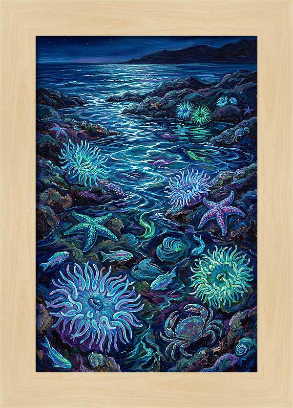 Tide Pool Wonders
