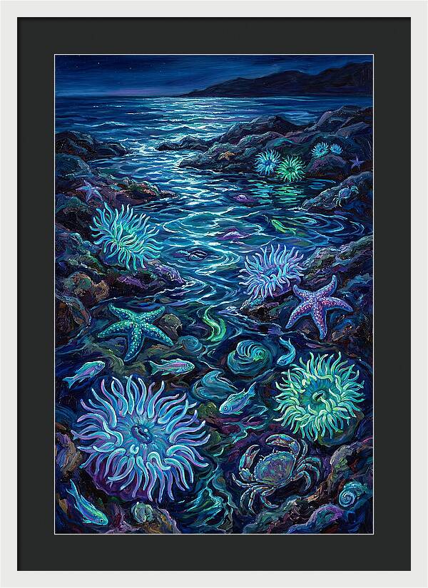 Tide Pool Wonders