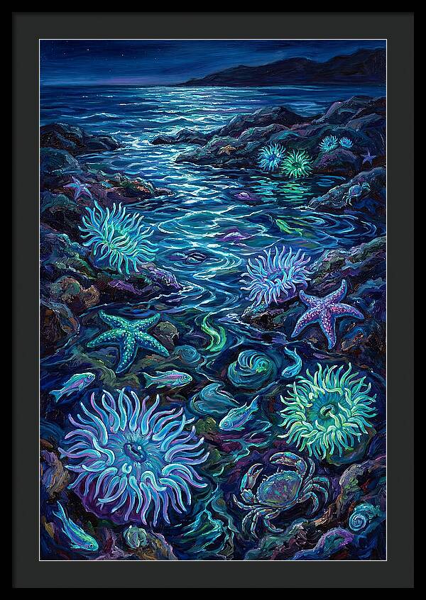 Tide Pool Wonders