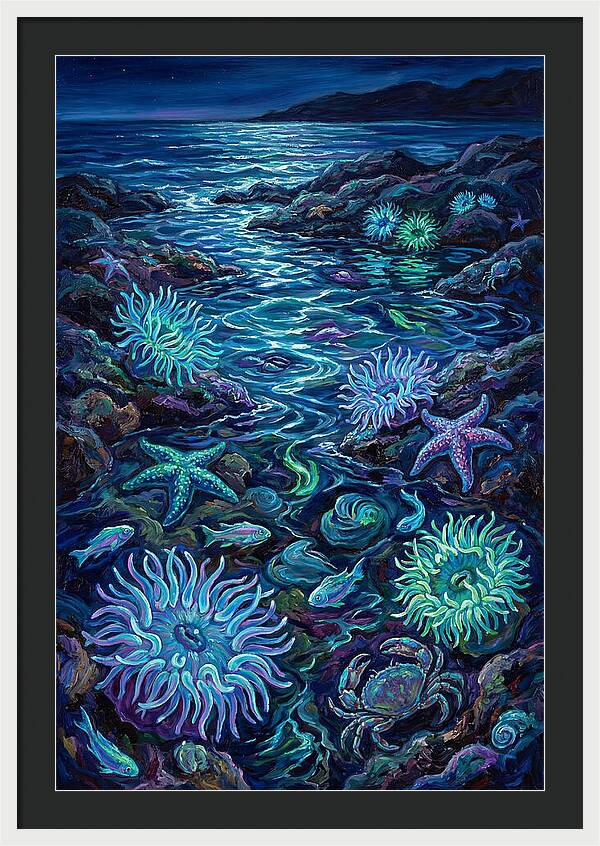 Tide Pool Wonders