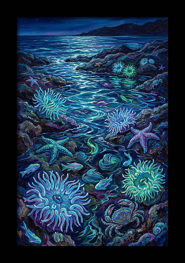Tide Pool Wonders