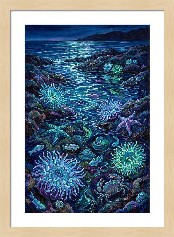 Tide Pool Wonders
