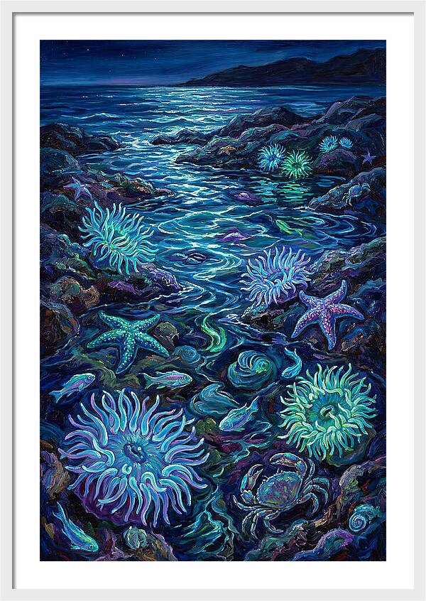 Tide Pool Wonders