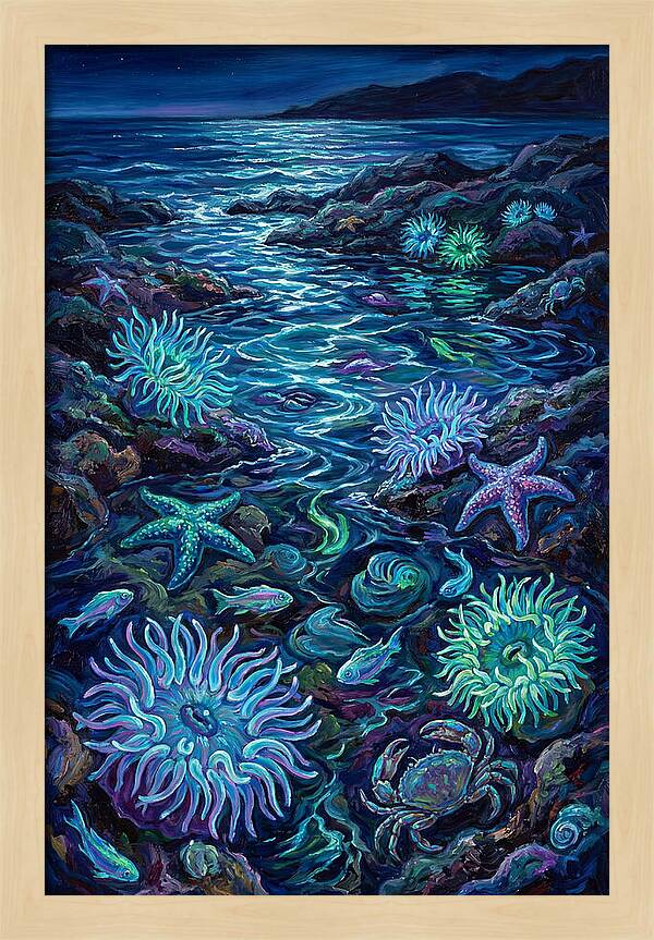 Tide Pool Wonders