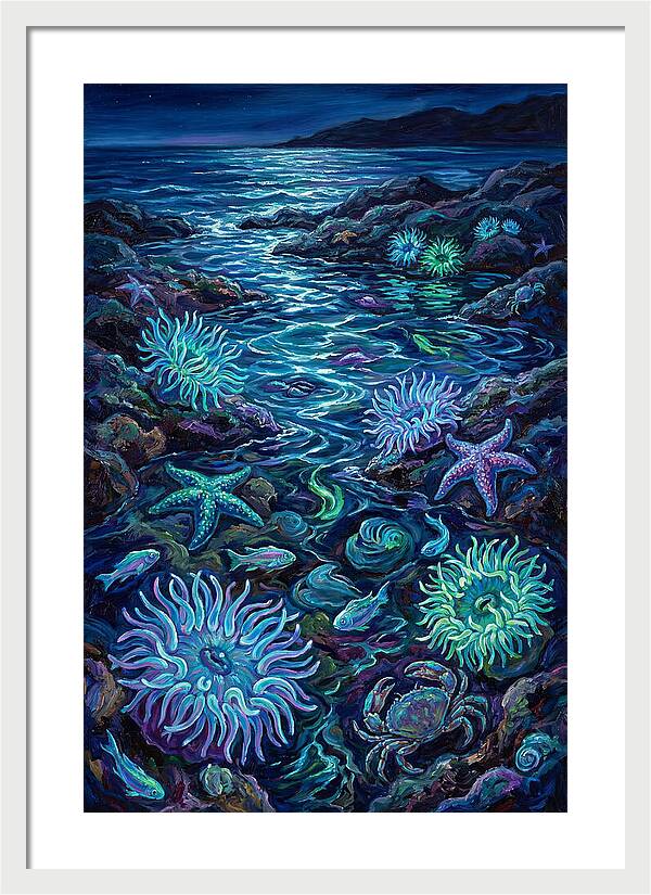 Tide Pool Wonders