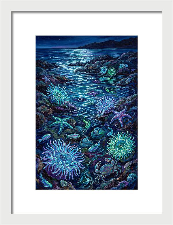 Tide Pool Wonders