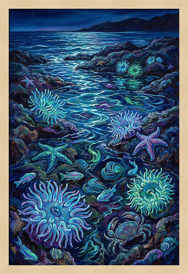 Tide Pool Wonders
