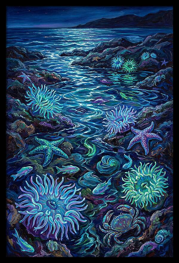 Tide Pool Wonders