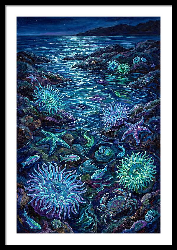 Tide Pool Wonders