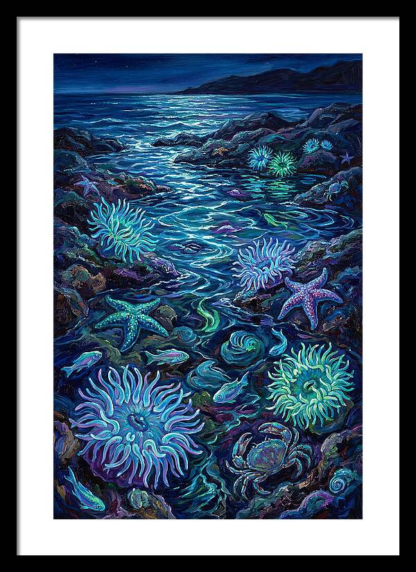 Tide Pool Wonders