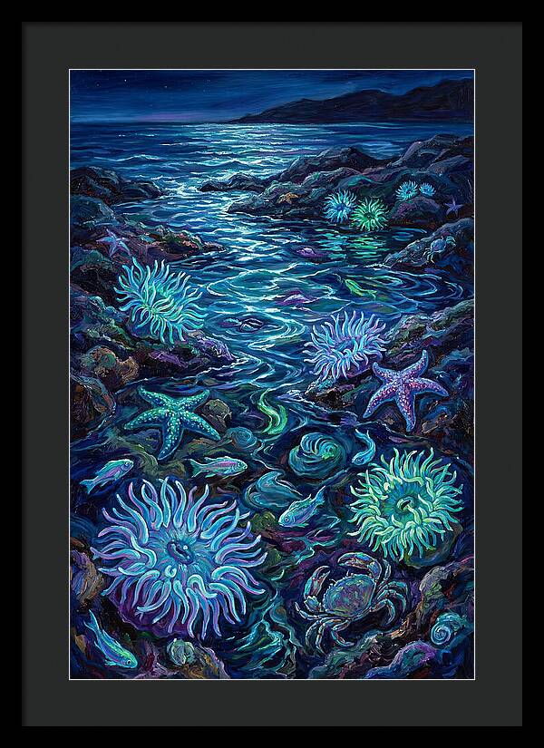 Tide Pool Wonders