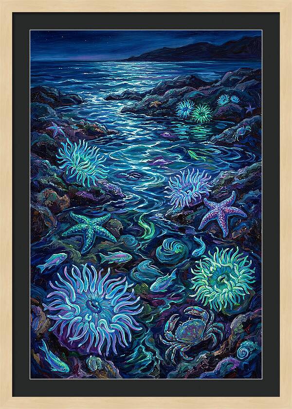 Tide Pool Wonders