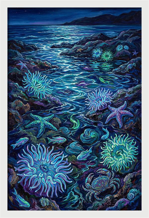 Tide Pool Wonders