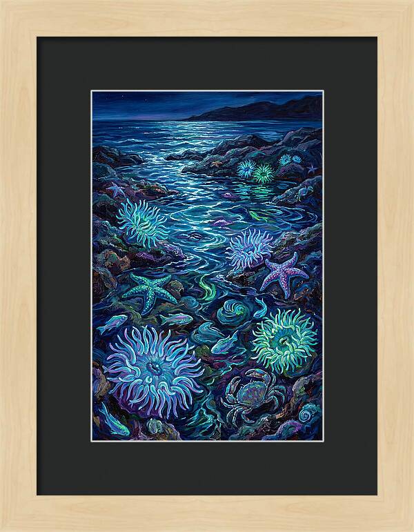 Tide Pool Wonders