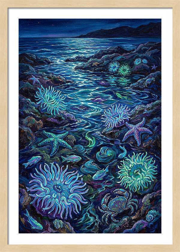 Tide Pool Wonders