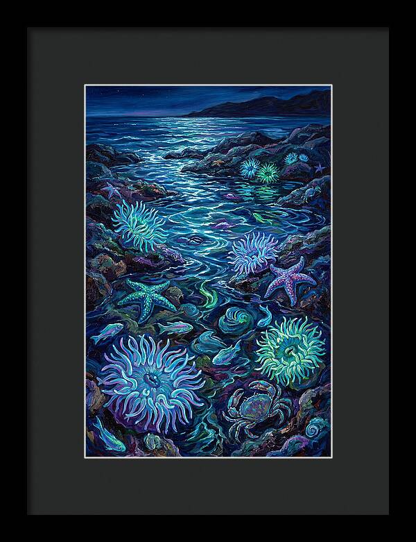 Tide Pool Wonders
