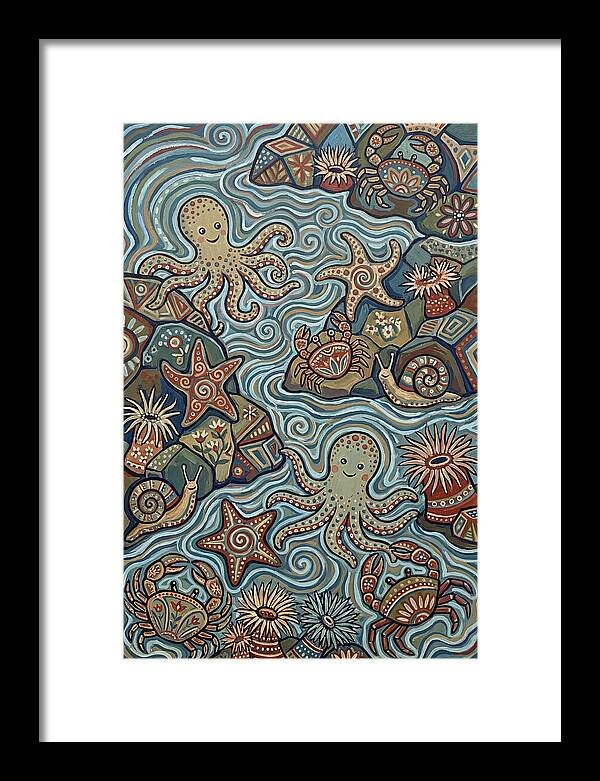 Tide Pool Wonders