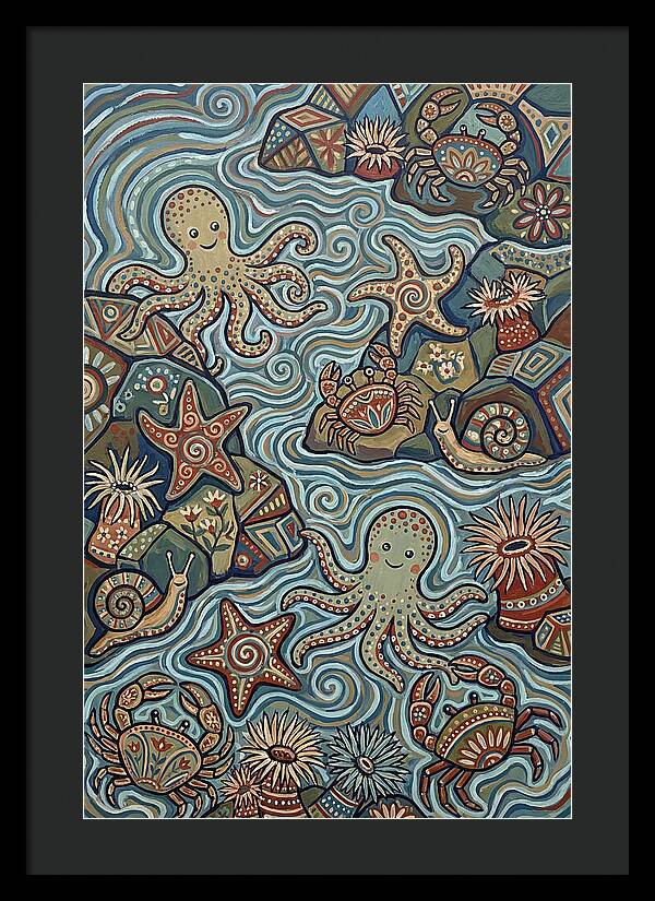 Tide Pool Wonders