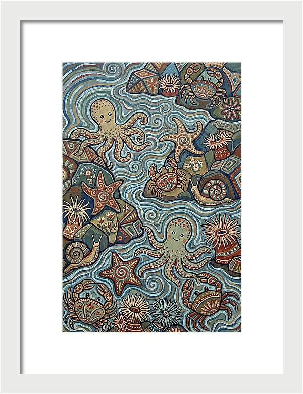 Tide Pool Wonders