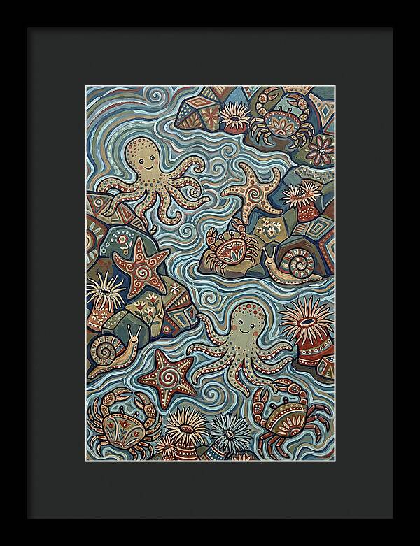 Tide Pool Wonders