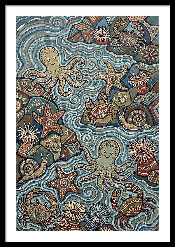 Tide Pool Wonders