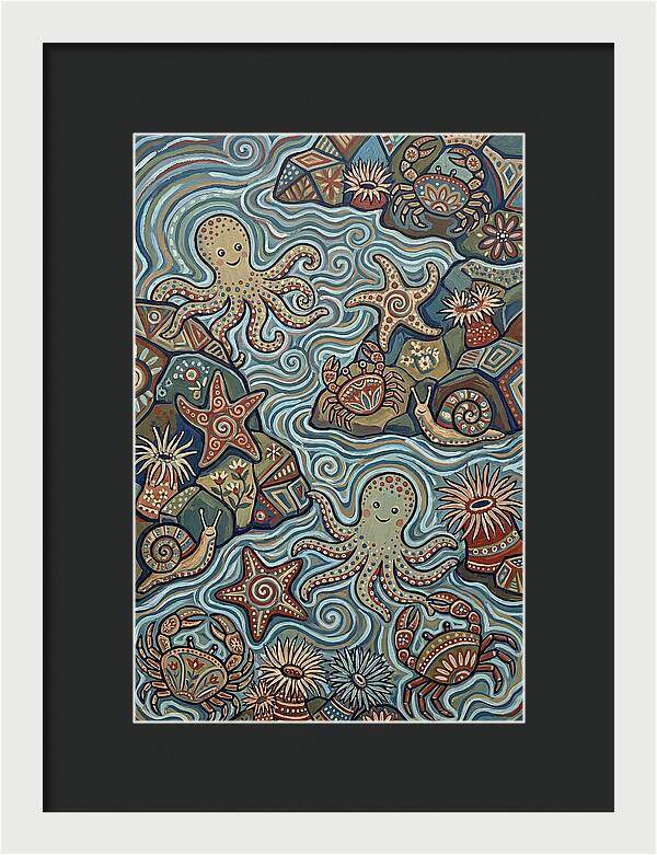 Tide Pool Wonders