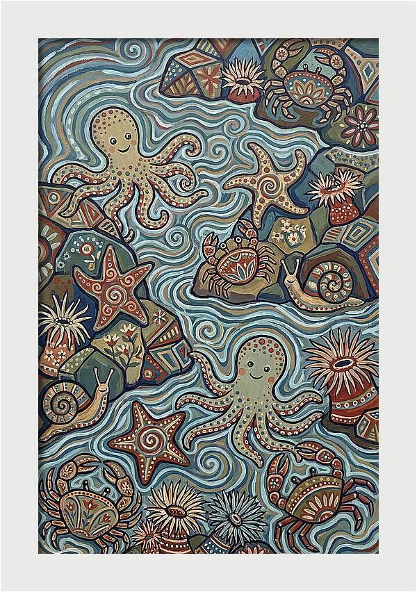 Tide Pool Wonders