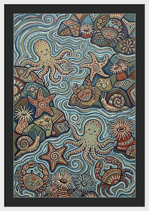 Tide Pool Wonders