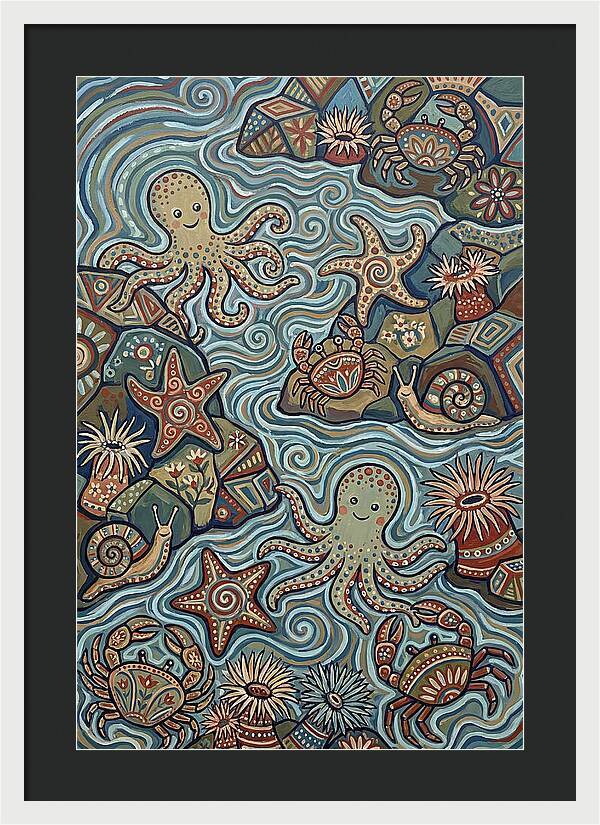 Tide Pool Wonders