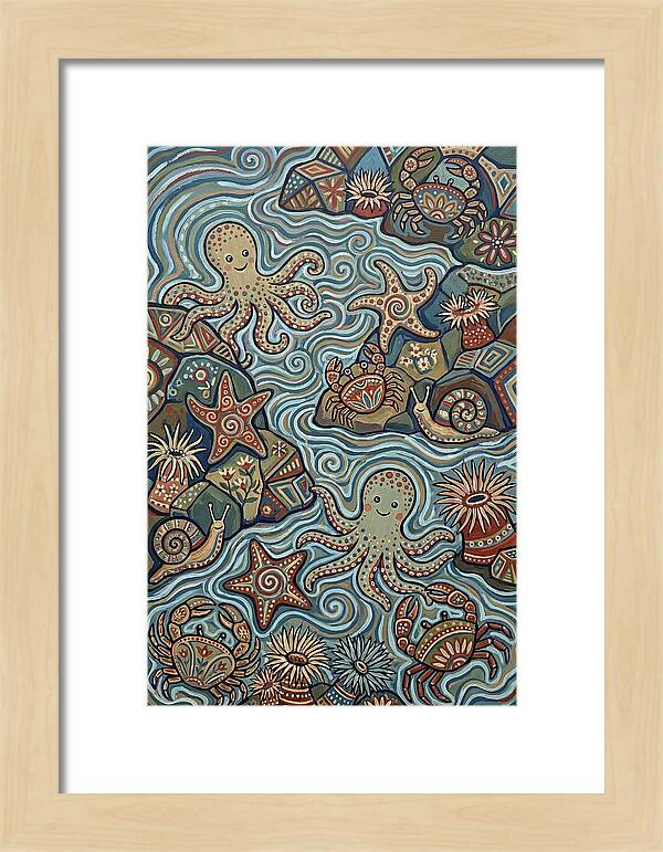 Tide Pool Wonders