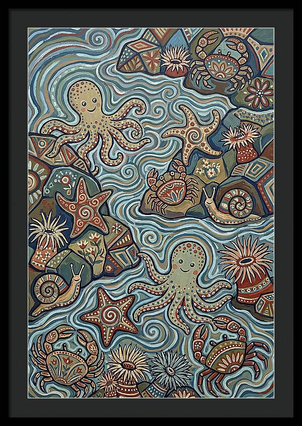 Tide Pool Wonders