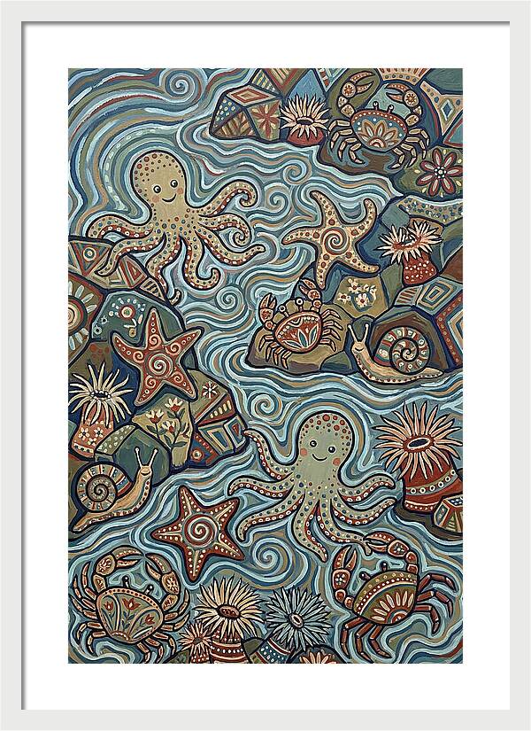 Tide Pool Wonders