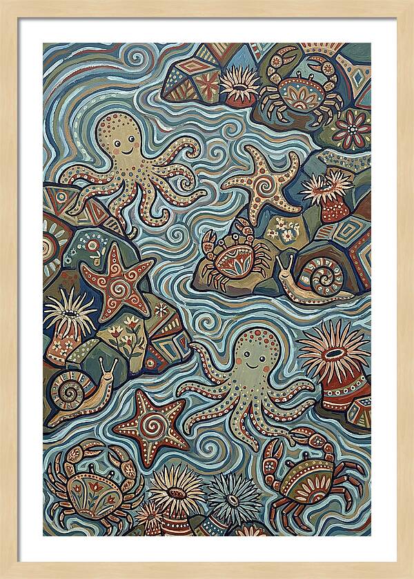 Tide Pool Wonders