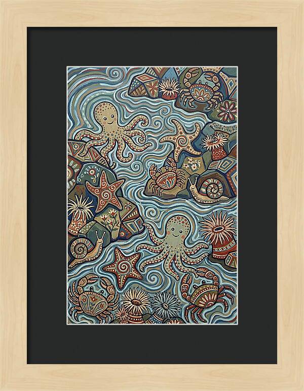 Tide Pool Wonders