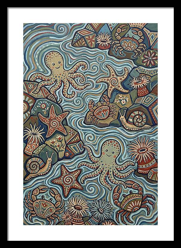 Tide Pool Wonders