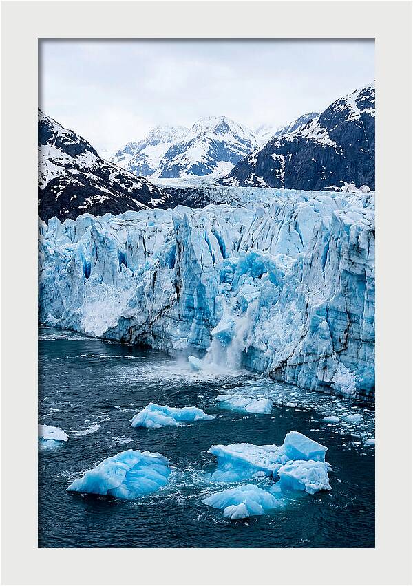 Tidewater Glacier Calving Into Fjord