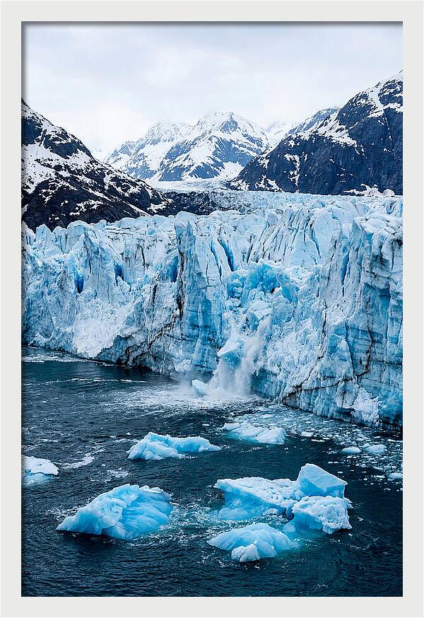 Tidewater Glacier Calving Into Fjord
