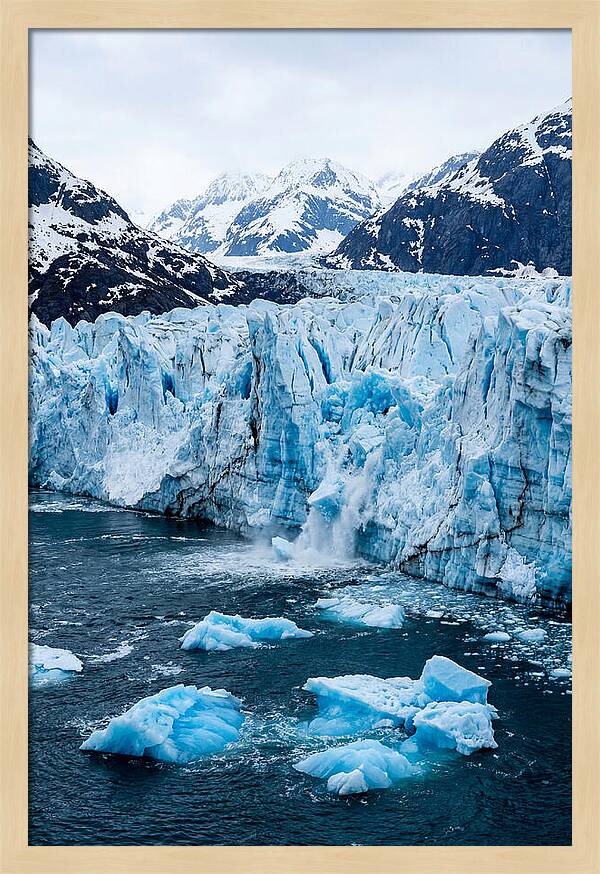 Tidewater Glacier Calving Into Fjord