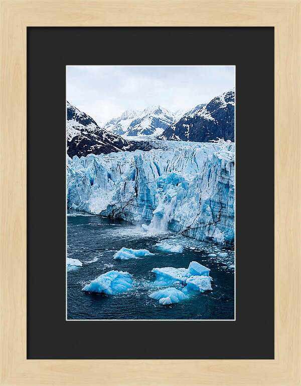 Tidewater Glacier Calving Into Fjord
